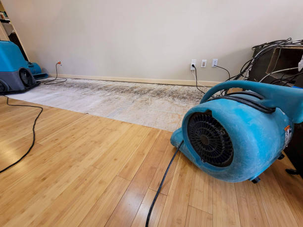 Professional Structural Drying technician working in Derwood, MD